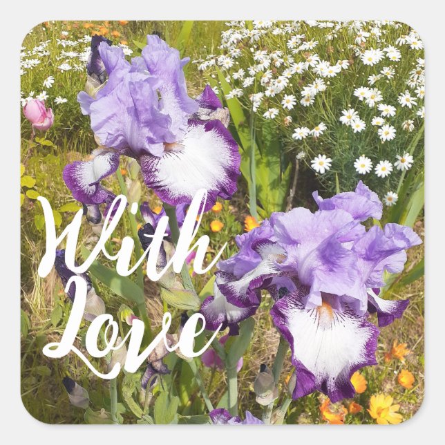 Iris Iris Lila Blume Floral Lavender Liebe Quadratischer Aufkleber (Vorderseite)