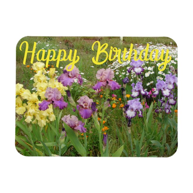 Iris irises blumengeschmückte Blume Hütte Garden G Magnet (Horizontal)
