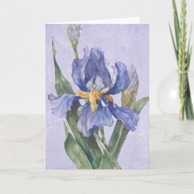 Iris Karte (Vorderseite)