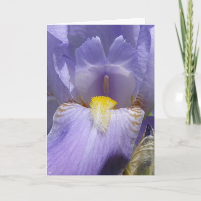 Iris Karte (Vorderseite)