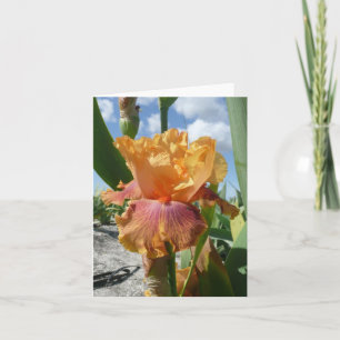 IRIS-KARTE - FLASCHENROCKET - leere Note Card Karte