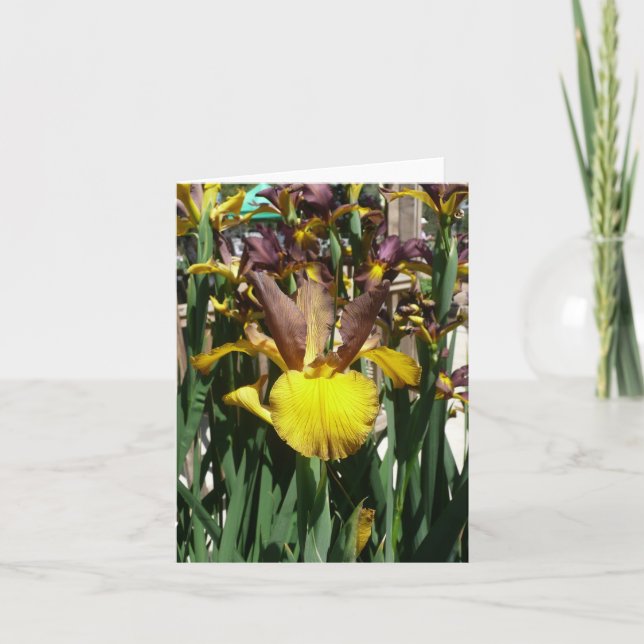 IRIS-KARTE - PIPER MAG - leere Note Card Karte (Vorderseite)
