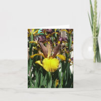 IRIS-KARTE - PIPER MAG - leere Note Card