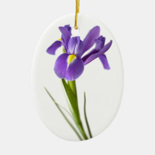 Iris Keramikornament