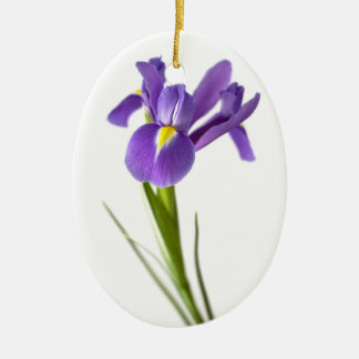 Iris Keramikornament