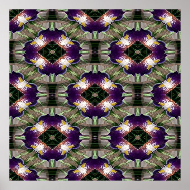 Iris Kräne.... Poster (Vorne)