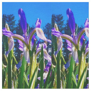 Iris Light Stoff