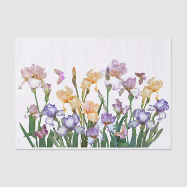 Iris Lila Butterfly Pink Seidenpapier (Vorderseite)
