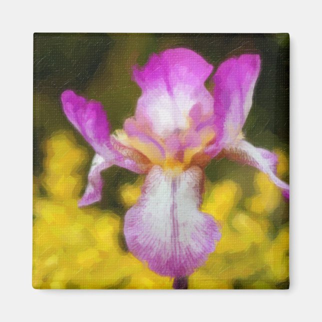 Iris Magnet (Vorne)