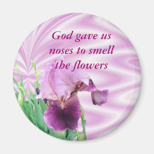 Iris-Magnet anpassen Magnet