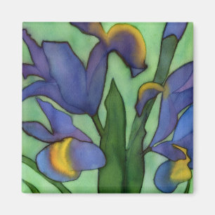 Iris-Magnet Magnet