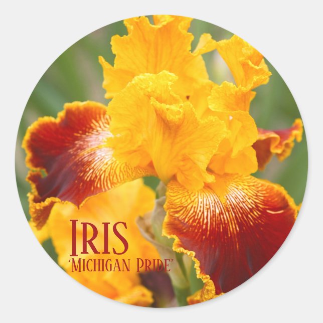 Iris "Michigan Pride"[Round Siegel] ラ ウ ル シ ド Runder Aufkleber (Vorderseite)