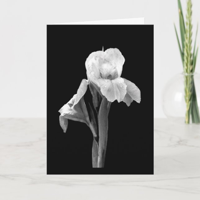 'Iris mit Regentropfen' leere Grußkarte Karte (Vorderseite)