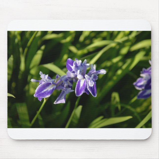 Iris Mousepad (Vorne)
