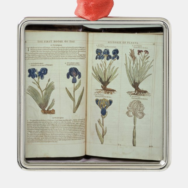 Iris Ornament Aus Metall (Vorne)