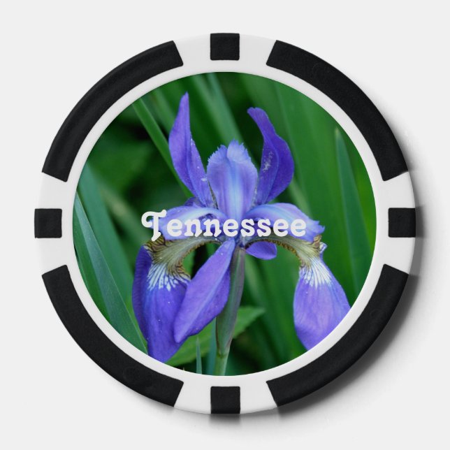 Iris Pokerchips (Vorderseite)
