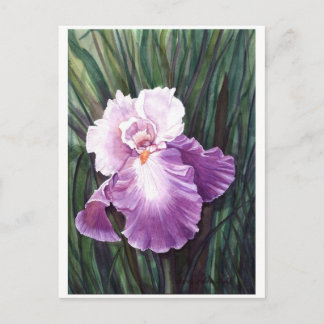 Iris Postcard Postkarte