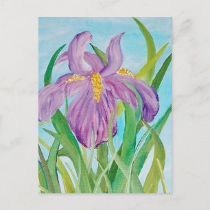 Iris Postcard Postkarte