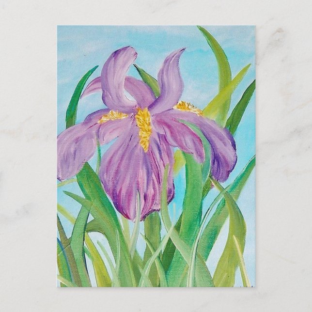 Iris Postcard Postkarte (Vorderseite)