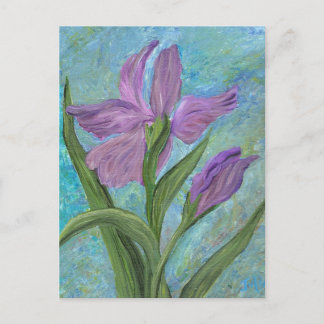 Iris Postcard Postkarte