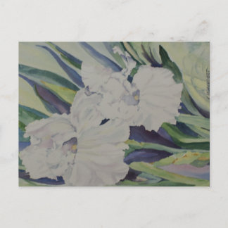 Iris Postcard Postkarte