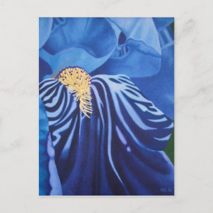 Iris Postcard Postkarte