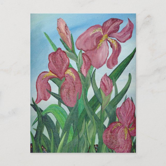 Iris Postcard Postkarte (Vorderseite)