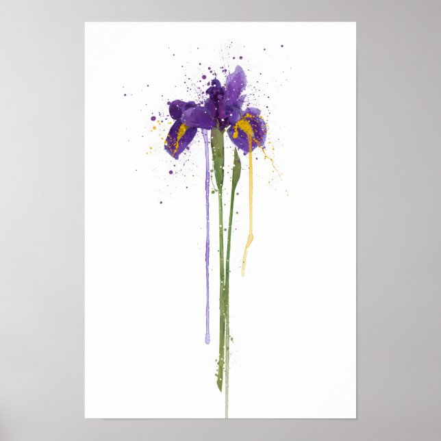 Iris Poster (Vorne)