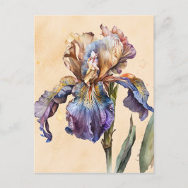 Iris Postkarte