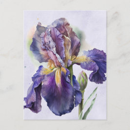Iris Postkarte