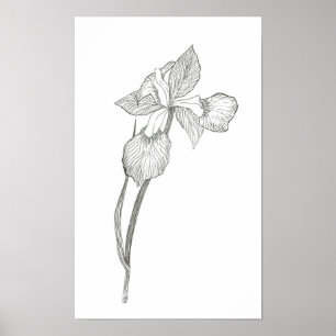 Iris Print Poster