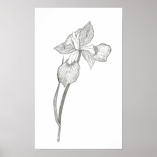Iris Print Poster (Vorne)