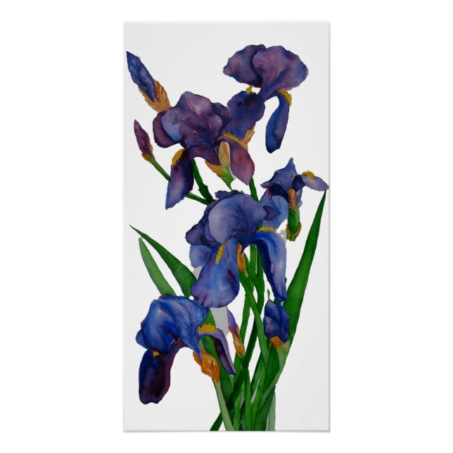 Iris Print Poster (Vorderseite)