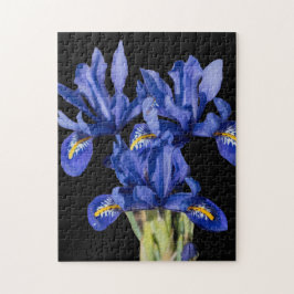 Iris Puzzle