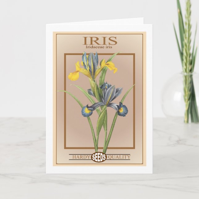 Iris-Samenpackung Karte (Vorderseite)