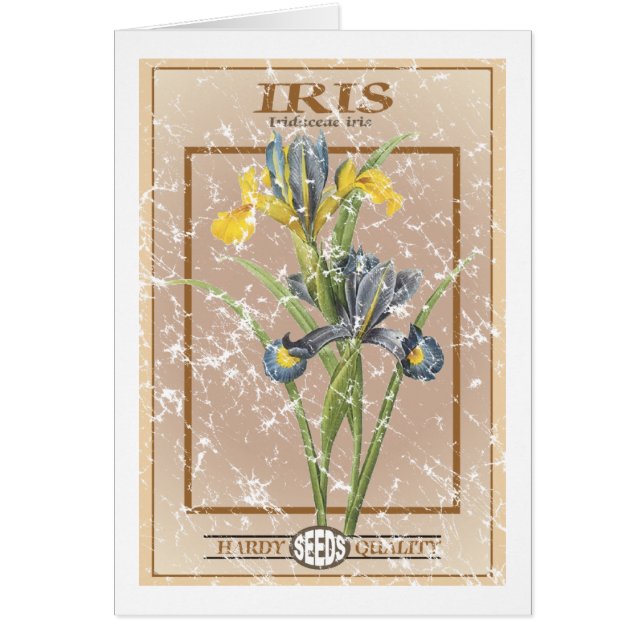 Iris-Samenpaket - abgenutzt (Vorne)