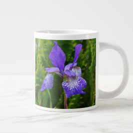 Iris sibirica Blumenfotografie Jumbo-Tasse