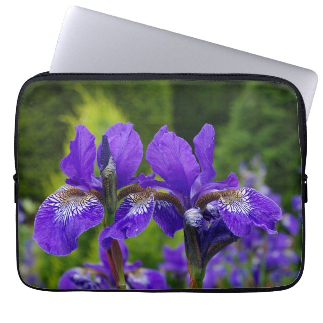 Iris sibirica Blumenfotografie Laptopschutzhülle (Vorderseite)