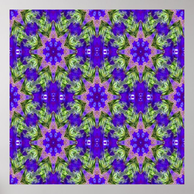 Iris Stars...... Poster (Vorne)