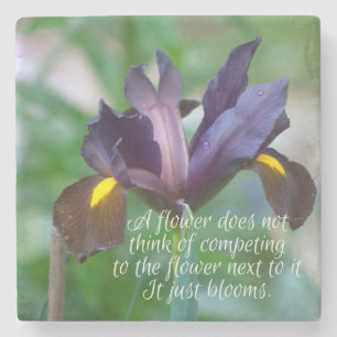 Iris Steinuntersetzer