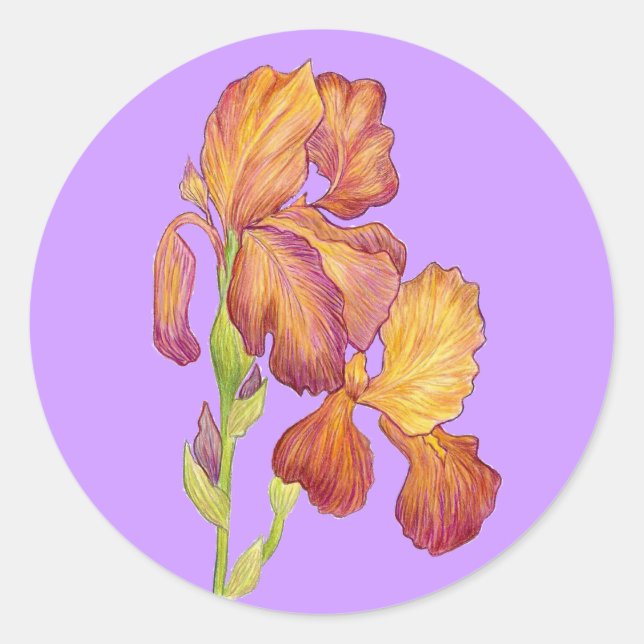 Iris Sticker (Vorderseite)