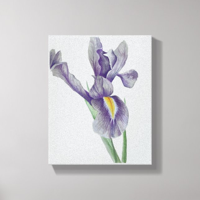 Iris Stretched Canvas Print Leinwanddruck (Vorderseite)