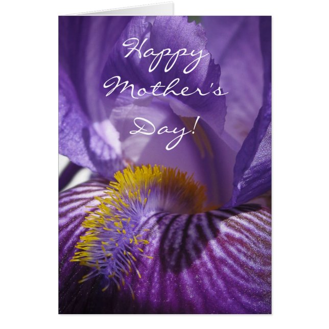 Iris' Tongue (Vorne)