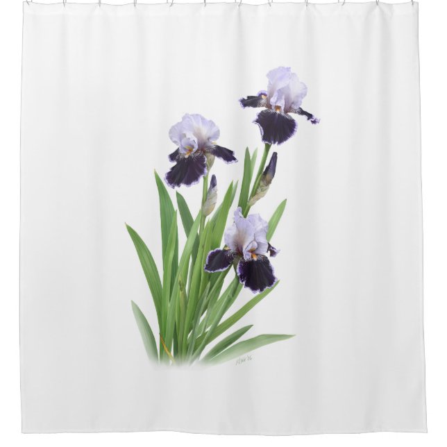 Iris Trio Duschvorhang (Vorderseite)