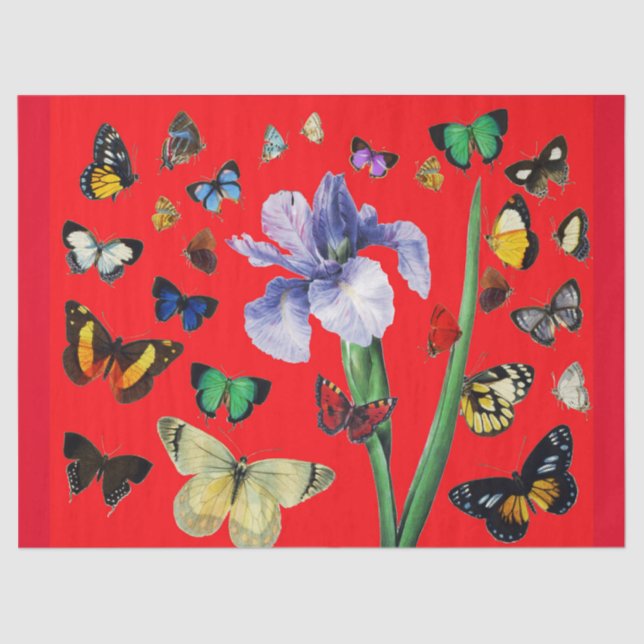 IRIS UNTER DEN FARBHAFTEN BUTTERFLIS Rote Flora Seidenpapier (Vorderseite)
