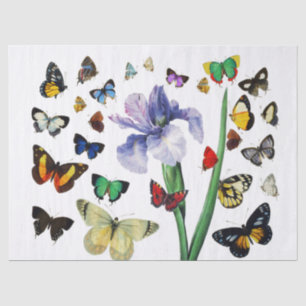 IRIS UNTER DEN FARBSCHÜTTERFLIESSEN Weiße Blüte Seidenpapier