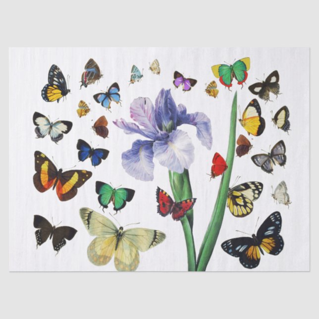 IRIS UNTER DEN FARBSCHÜTTERFLIESSEN Weiße Blüte Seidenpapier (Vorderseite)