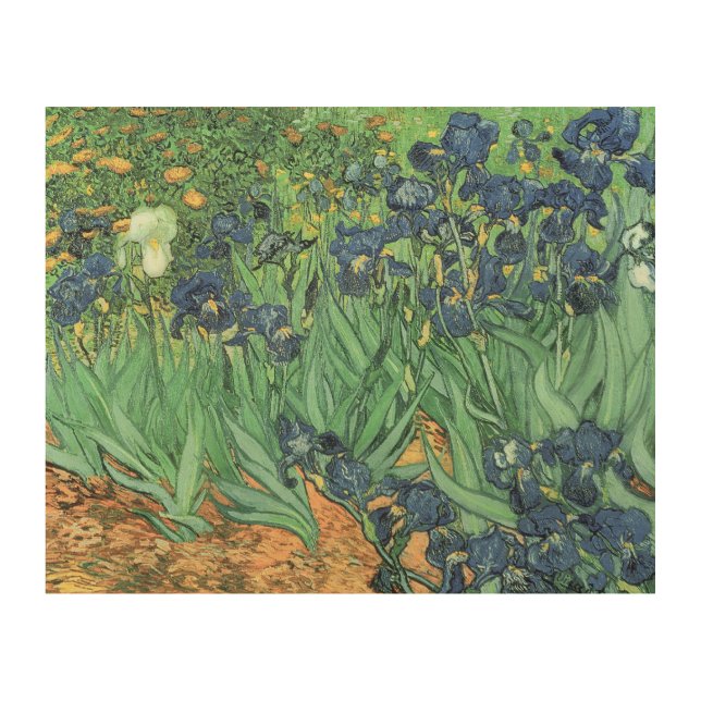 Iris Vincent van Goghs |, 1889 Holzdruck (Vorderseite)