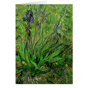 Iris von Vincent van Gogh, Vintage Gartenblumen