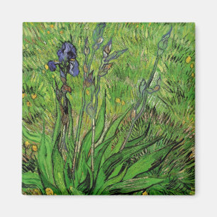 Iris von Vincent van Gogh, Vintage Gartenblumen Magnet